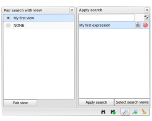 Pair Search and View - Window